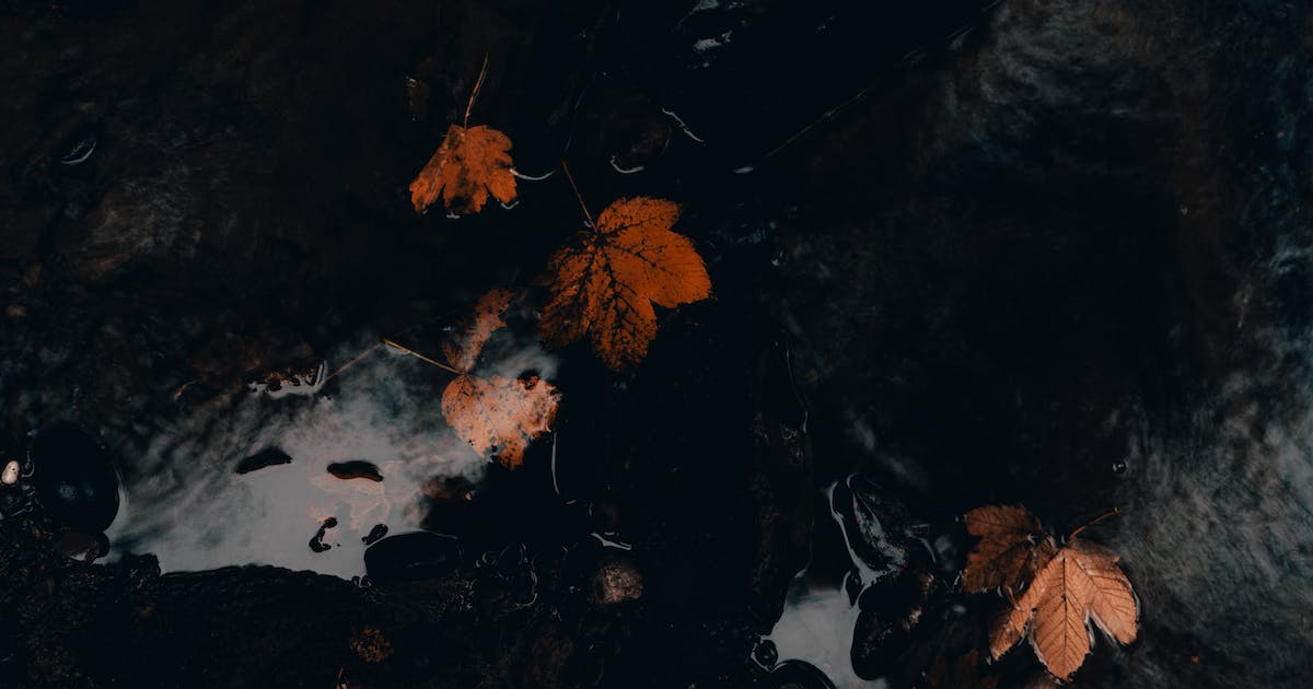 Βρεγμένο χώμα (Μέρος 3ο-Tέλος)