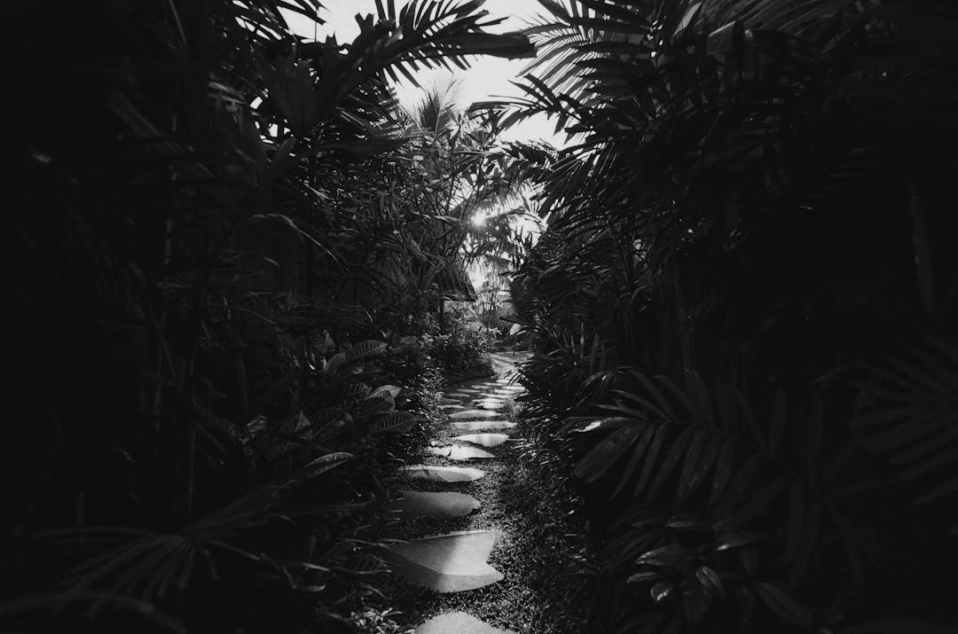 Ιστορίες από το περιοδικό “Weird Literature” – Σπρίνγκχιλντ Τζακ