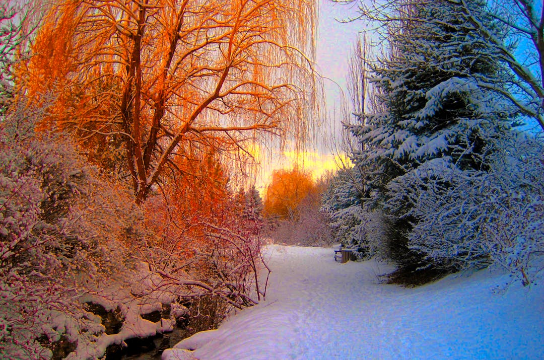 Ο ήρωας της άνοιξης