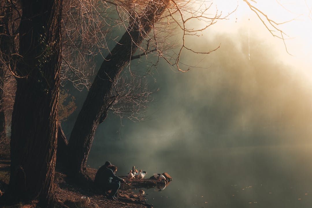 Οι Ψίθυροι του Αχέροντα