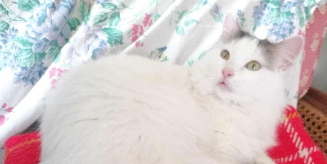 Εις μνήμην…