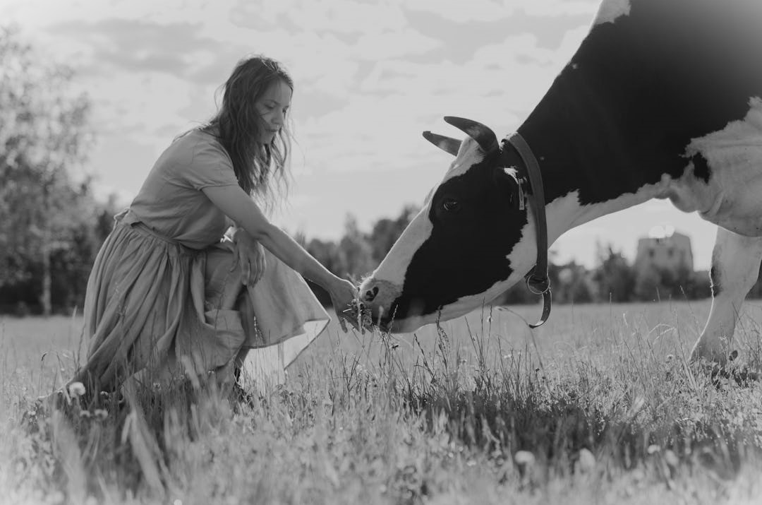 Μαινάδα ορχούμενη