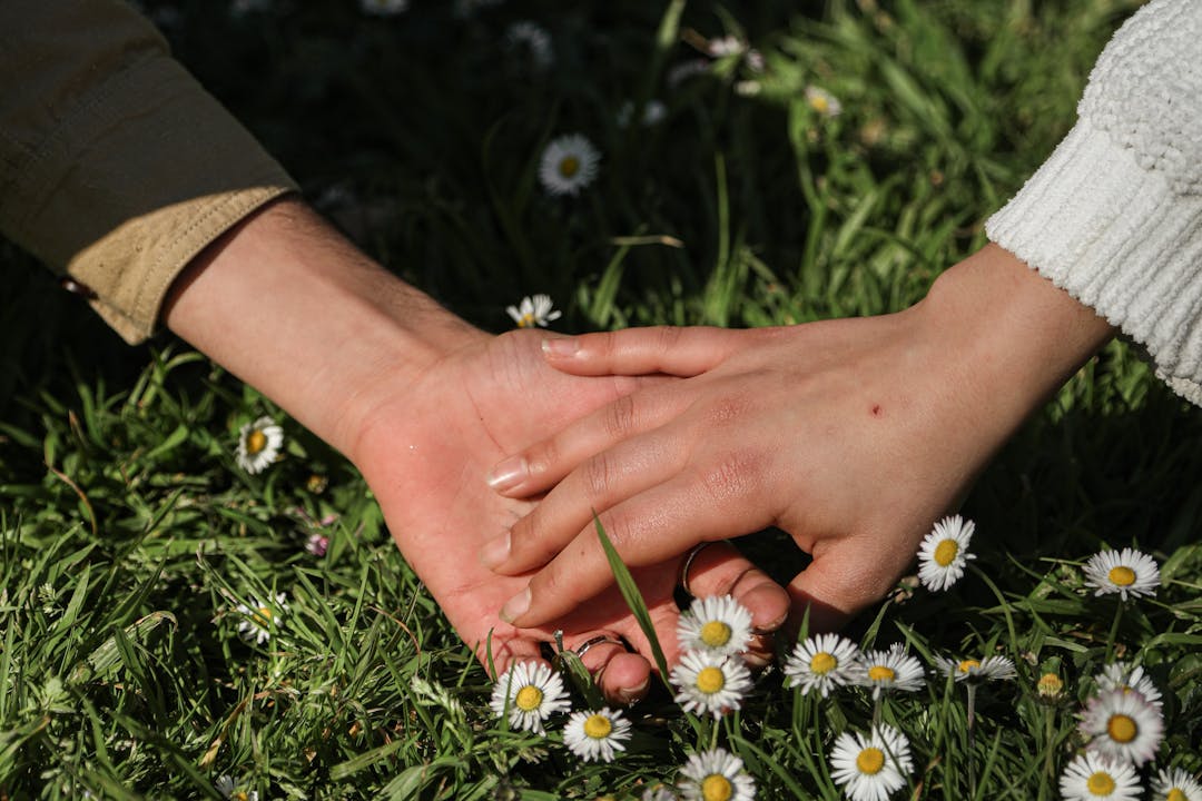 Η ζωή που τους ανήκε