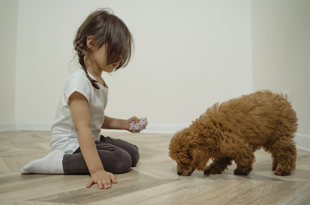 Η γητεύτρα των σκύλων